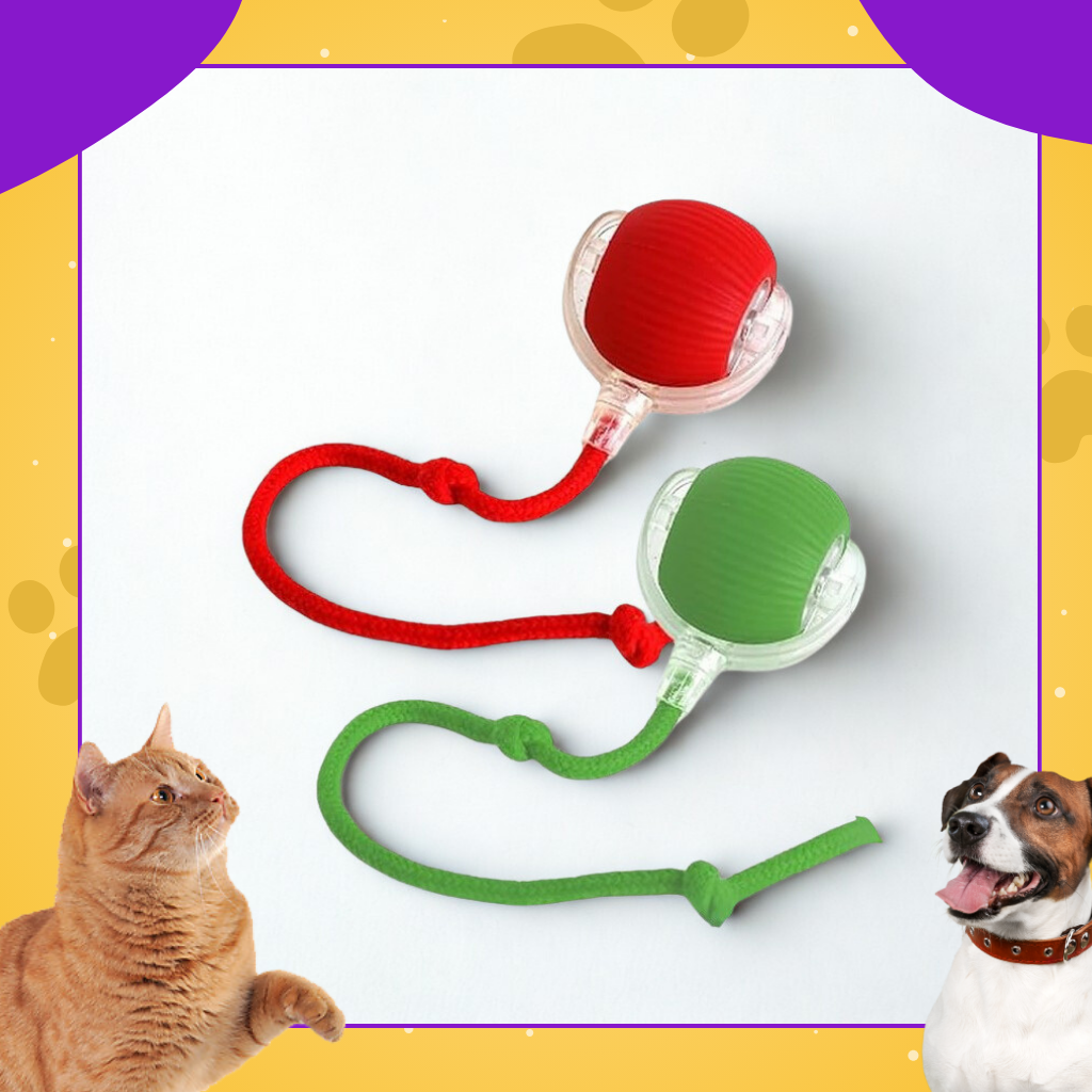 Pelota Interactiva Para Mascotas